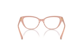 Rear view Jimmy Choo JC3011 (5027)