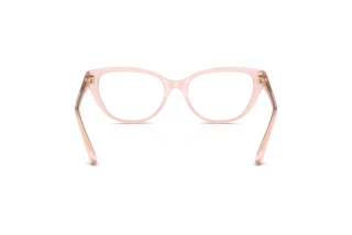 Rear view Jimmy Choo JC3011 (5034)