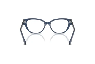 Rear view Jimmy Choo JC3011 (5035)