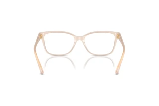 Rear view Jimmy Choo JC3012 (5025)