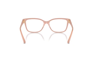 Rear view Jimmy Choo JC3012 (5027)