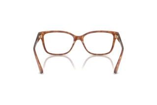 Rear view Jimmy Choo JC3012 (5114)