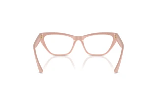 Rear view Jimmy Choo JC3014 (5014)