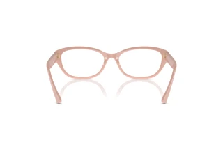 Rear view Jimmy Choo JC3015 (5014)