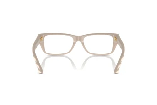 Rear view Jimmy Choo JC3016 (5033)