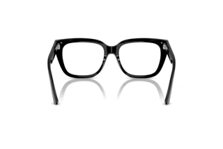 Rear view Jimmy Choo JC3019B (5000)