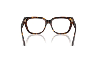Rear view Jimmy Choo JC3019B (5002)