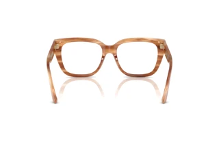 Rear view Jimmy Choo JC3019B (5055)