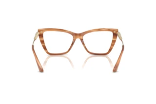 Rear view Jimmy Choo JC3020B (5055)