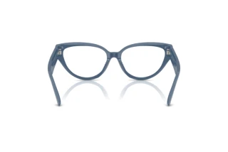 Rear view Jimmy Choo JC3023HU (5020)