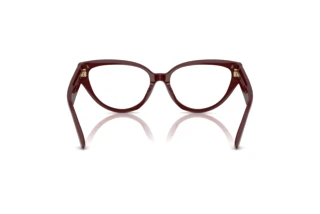 Rear view Jimmy Choo JC3023HU (5057)