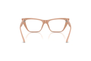 Rear view Jimmy Choo JC3025 (5019)