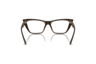 Rear view Jimmy Choo JC3025 (5060)