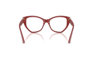 Rear view Jimmy Choo JC3026 (5013)