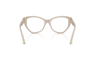 Rear view Jimmy Choo JC3026 (5033)