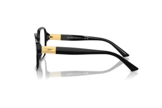 Side view Jimmy Choo JC3027 (5000)