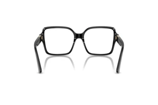 Rear view Jimmy Choo JC3027 (5000)