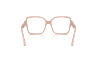 Rear view Jimmy Choo JC3027 (5014)