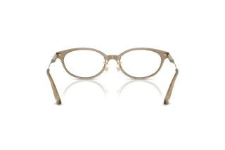 Rear view Jimmy Choo JC3029D (5051)