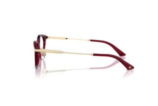 Side view Jimmy Choo JC3029D (5062)