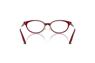 Rear view Jimmy Choo JC3029D (5062)