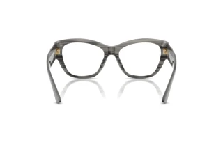Rear view Jimmy Choo JC3033BU (5063)