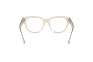 Rear view Jimmy Choo JC3035 (5025)