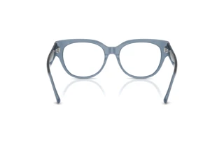 Rear view Jimmy Choo JC3035 (5067)