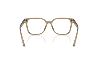 Rear view Jimmy Choo JC3038D (5051)