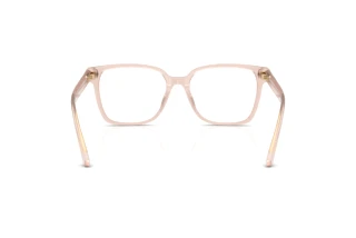 Rear view Jimmy Choo JC3038D (5052)