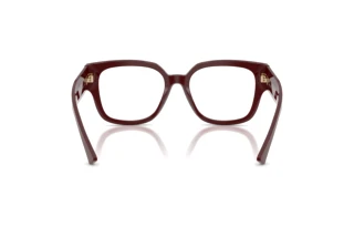 Rear view Jimmy Choo JC3042B (5057)