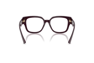 Rear view Jimmy Choo JC3042B (5075)