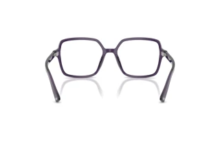 Rear view Jimmy Choo JC3046U (5087)