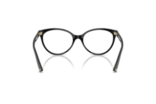 Rear view Jimmy Choo JC3047 (5000)