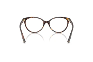 Rear view Jimmy Choo JC3047 (5002)
