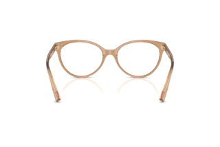 Rear view Jimmy Choo JC3047 (5076)