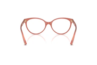 Rear view Jimmy Choo JC3047 (5084)