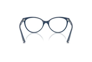 Rear view Jimmy Choo JC3047 (5088)