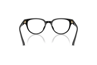 Rear view Jimmy Choo JC3051D (5000)