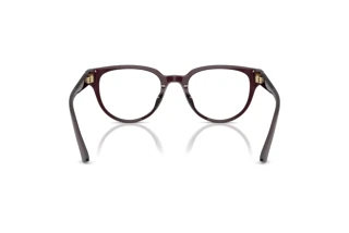 Rear view Jimmy Choo JC3051D (5086)