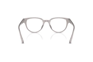 Rear view Jimmy Choo JC3051D (5096)