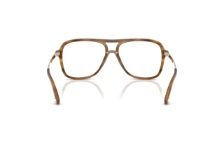 Rear view Jimmy Choo JC3052U (5085)