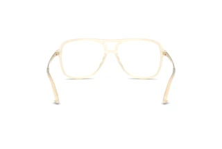 Rear view Jimmy Choo JC3052U (5089)