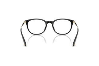 Rear view Jimmy Choo JC3055D (5000)