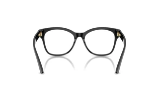 Rear view Jimmy Choo JC3056 (5000)