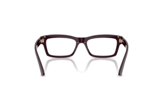 Rear view Jimmy Choo JC3057U (5075)
