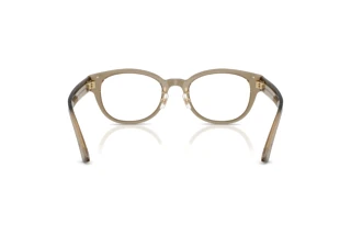 Rear view Jimmy Choo JC3058D (5051)