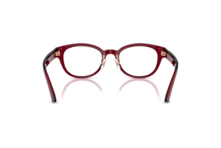 Rear view Jimmy Choo JC3058D (5062)