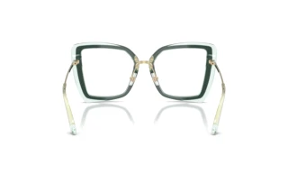 Rear view Jimmy Choo JC3059 (5104)