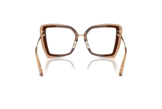 Rear view Jimmy Choo JC3059 (5105)